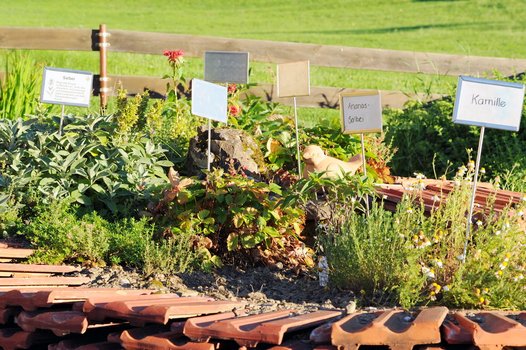 Moni's Kräutergarten