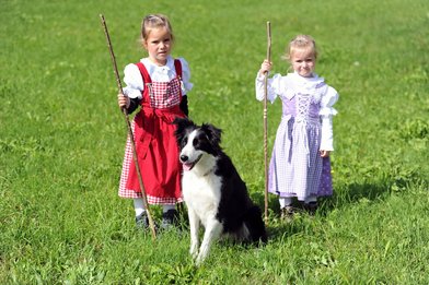 Alpabfahrt 2013 ab Folla