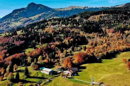Herbststimmung