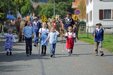 Alpabfahrt 2013 ab Folla