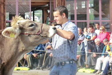 Wartauer Viehschau