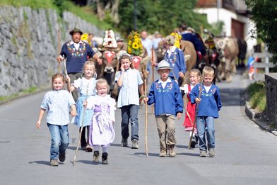 Alpabfahrt 2013 ab Folla