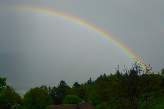 Regenbogen im Rheintal