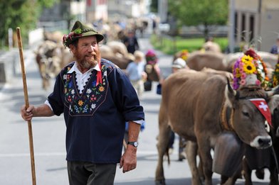 Alpabfahrt 2013 ab Folla