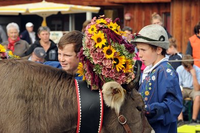 Wartauer Viehschau