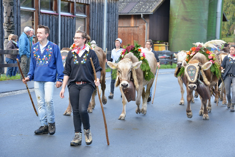 Wartauer Viehschau in Azmoos